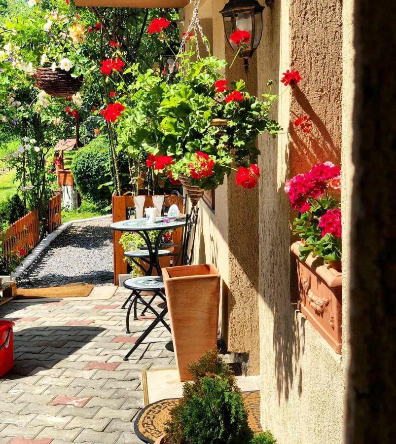 فندق Casa Rosca سيفِسوارا المظهر الخارجي الصورة